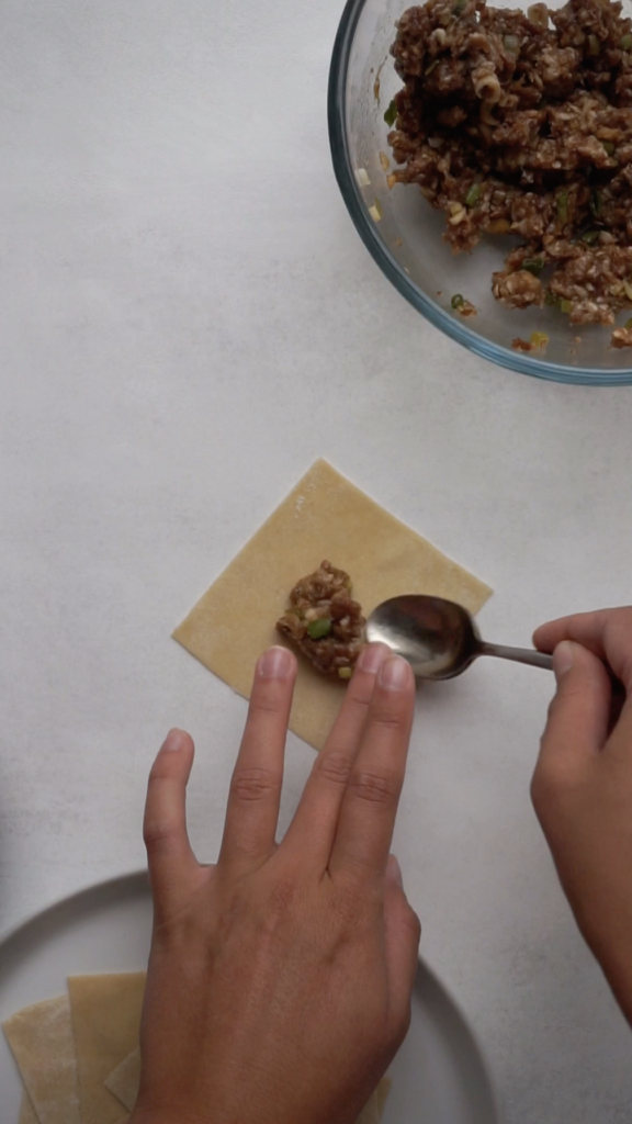 Wrapping Wontons