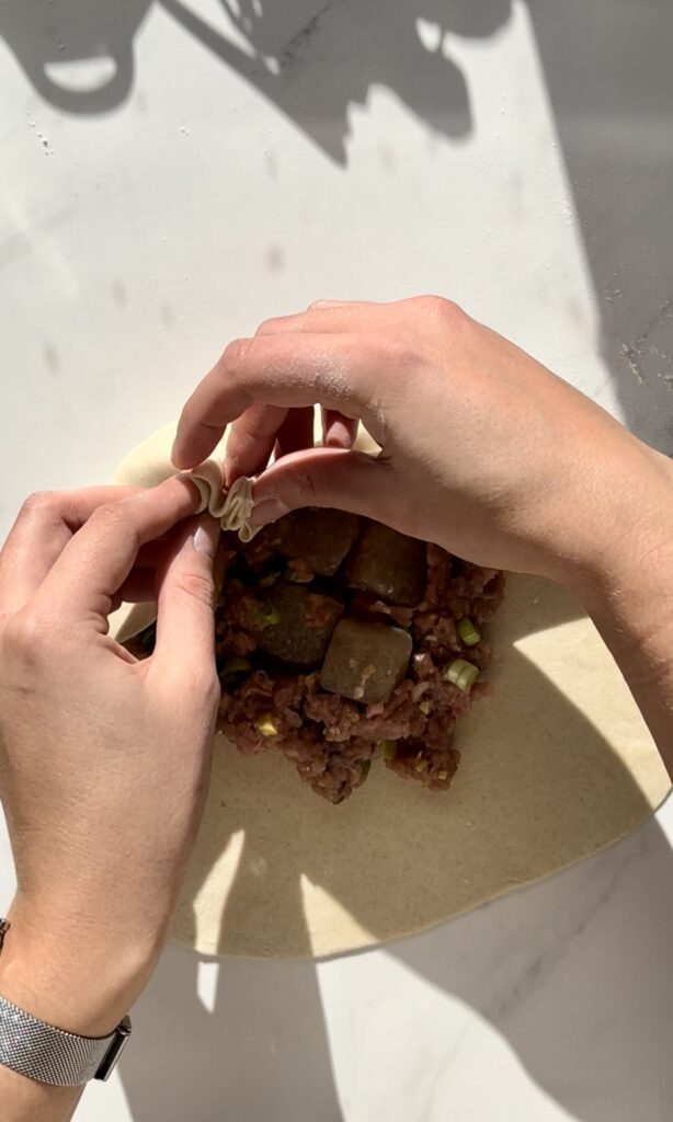 Wrapping a dumpling