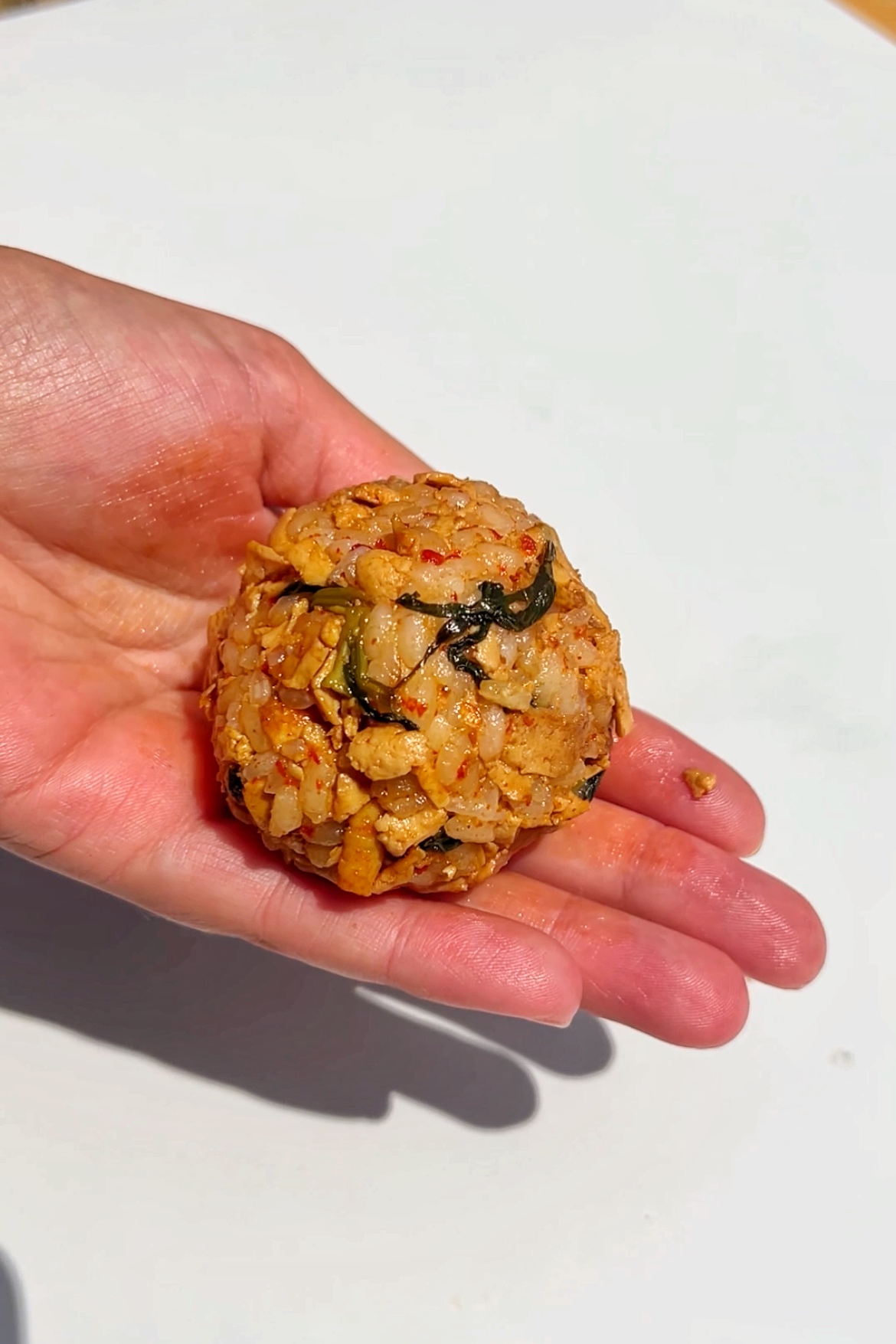 Vegan Rice Balls