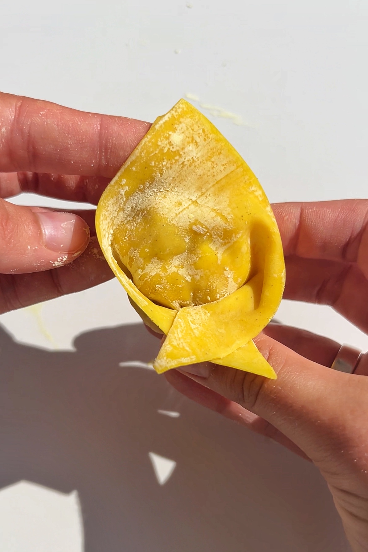 Wonton dumpling.
