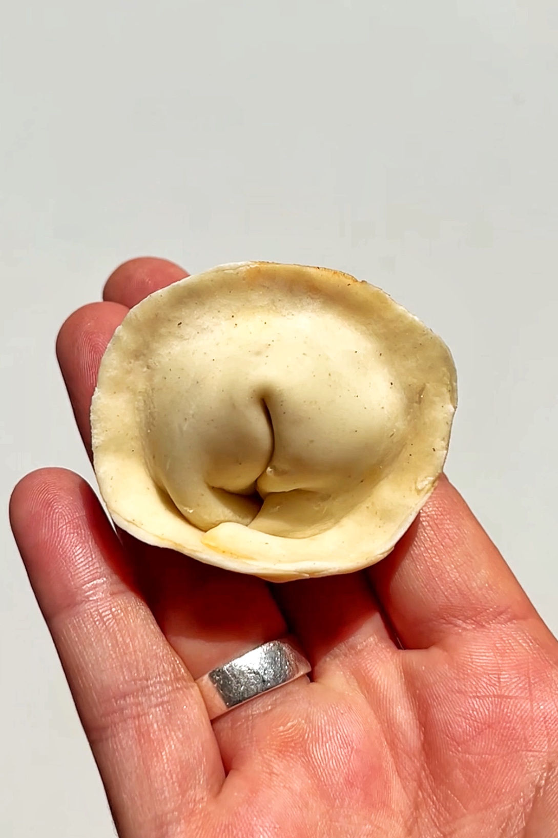 Kimchi tofu mandu.