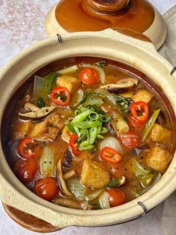 Ingredient substitutions close up of claypot tofu recipe.