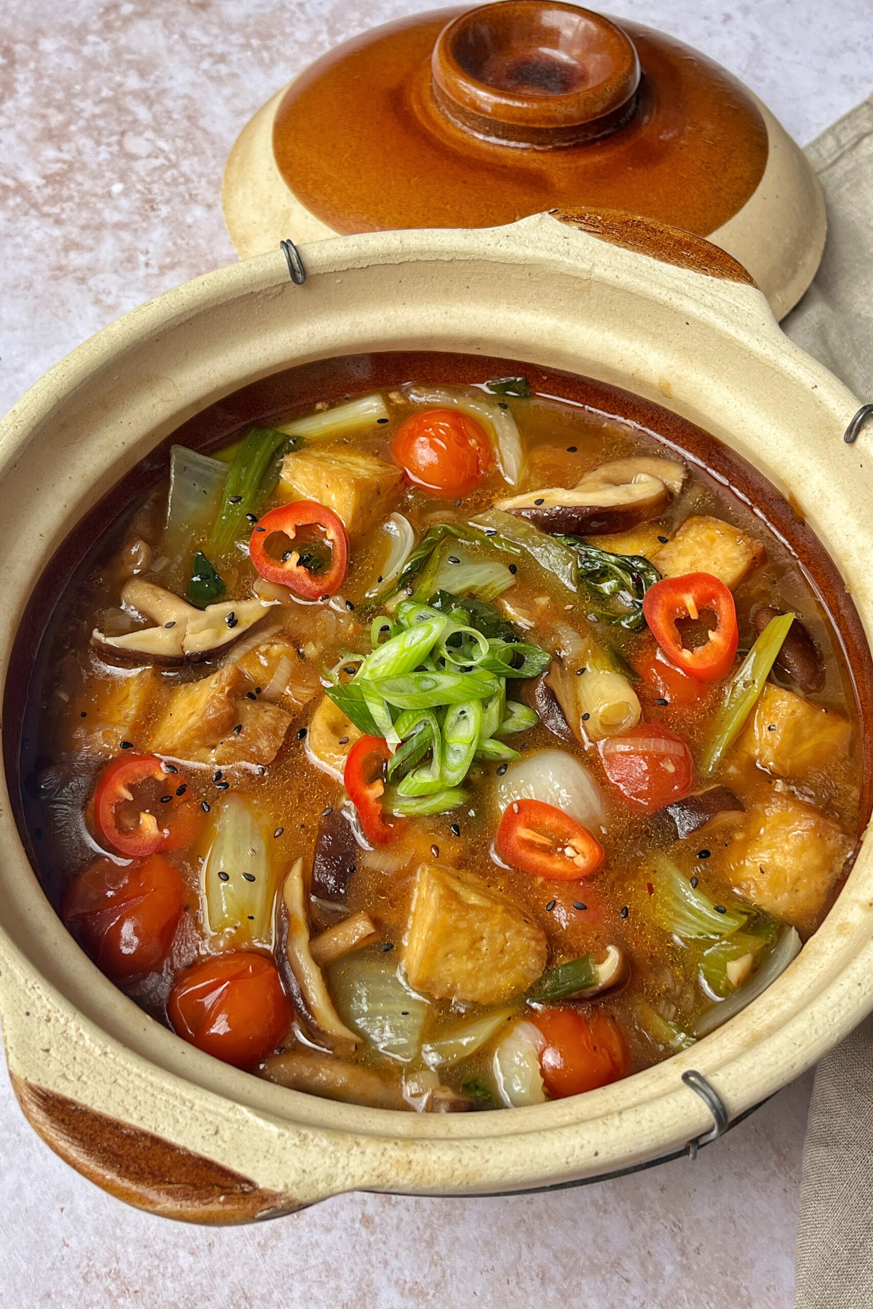 Ingredient substitutions close up of claypot tofu recipe.