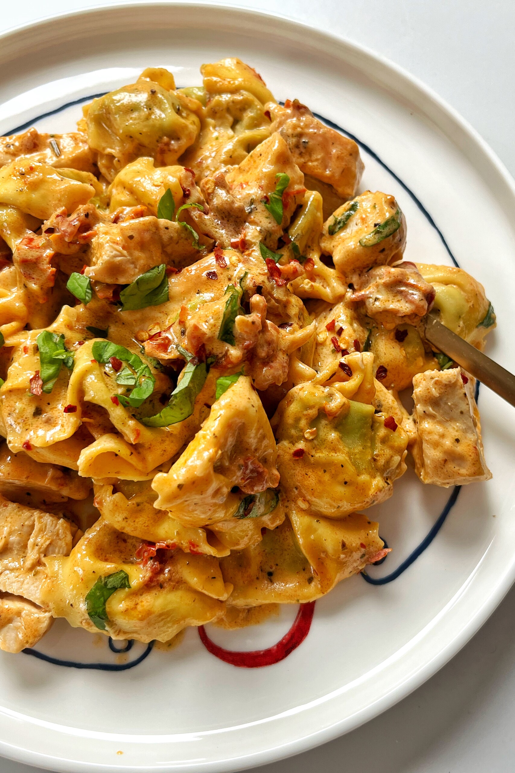 Close up of chicken pasta dish with tortellini.