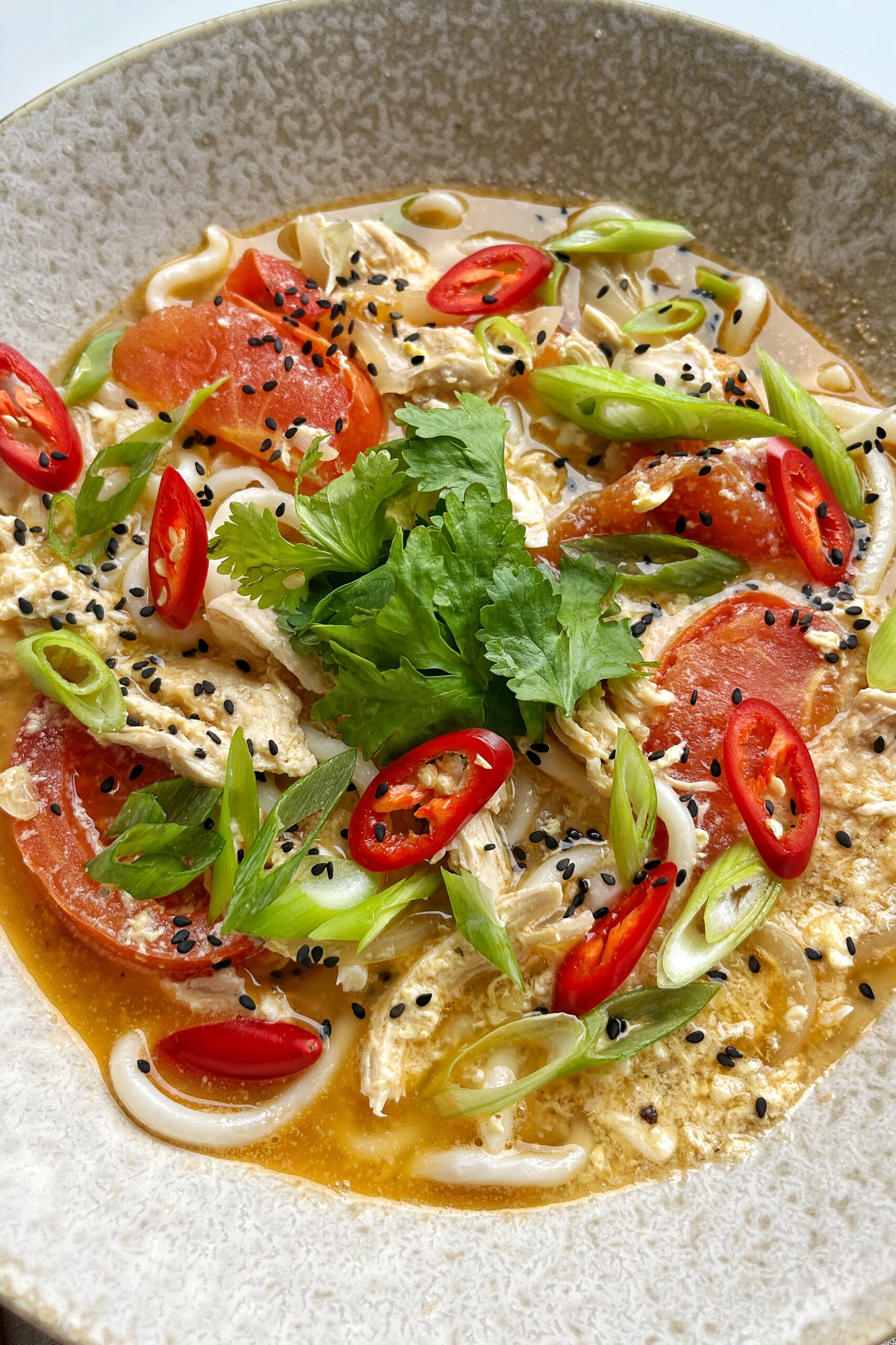 Close up of teriyaki chicken udon.