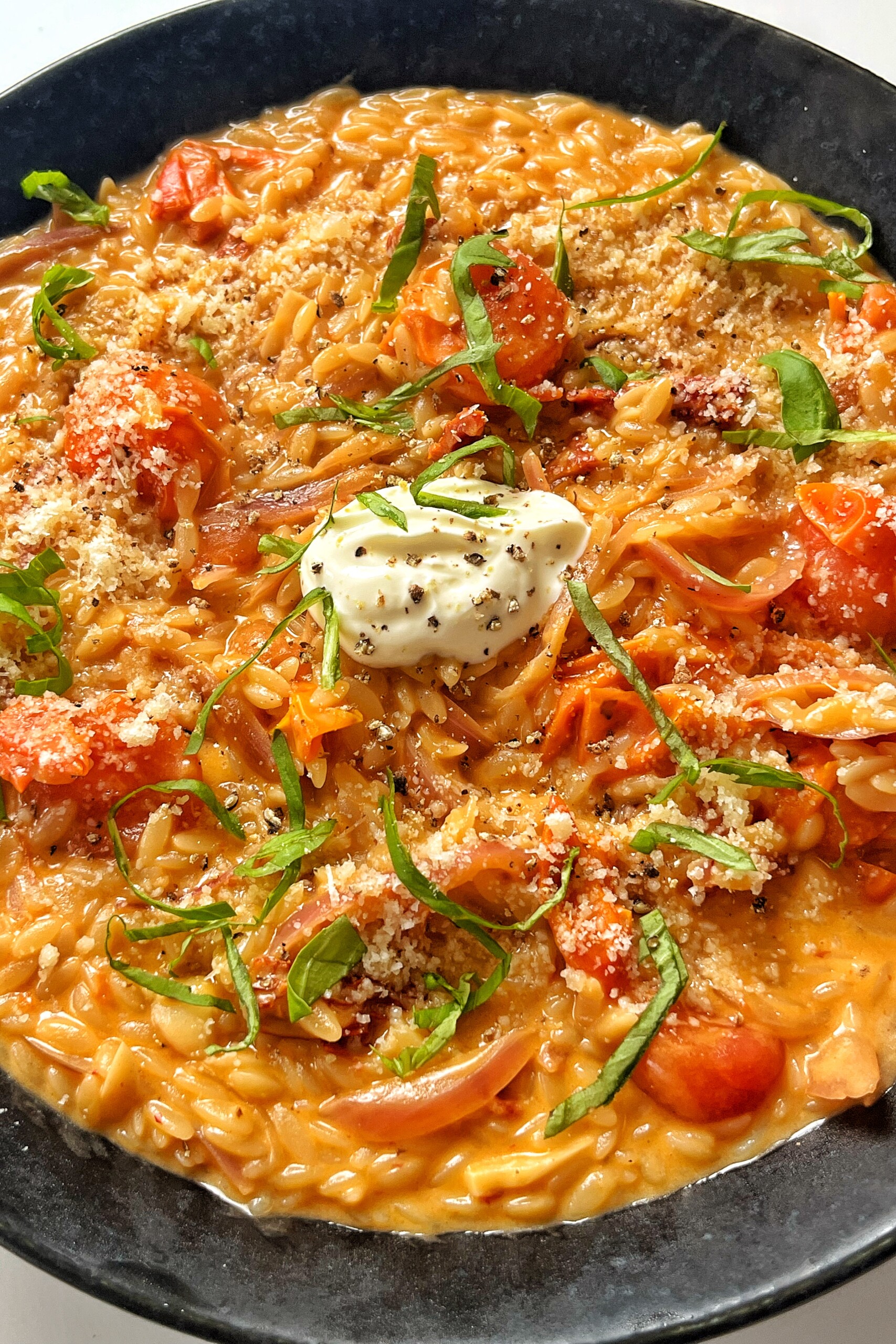 Close up of tomato orzotto recipe.
