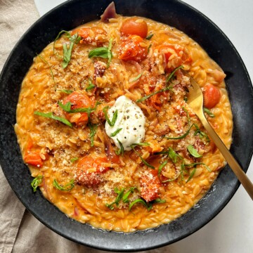 Tomato Orzo Pasta Recipe.