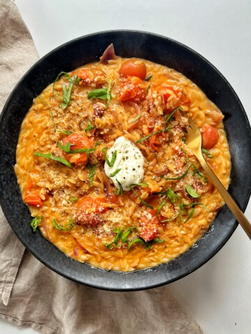 Tomato Orzo Pasta Recipe.