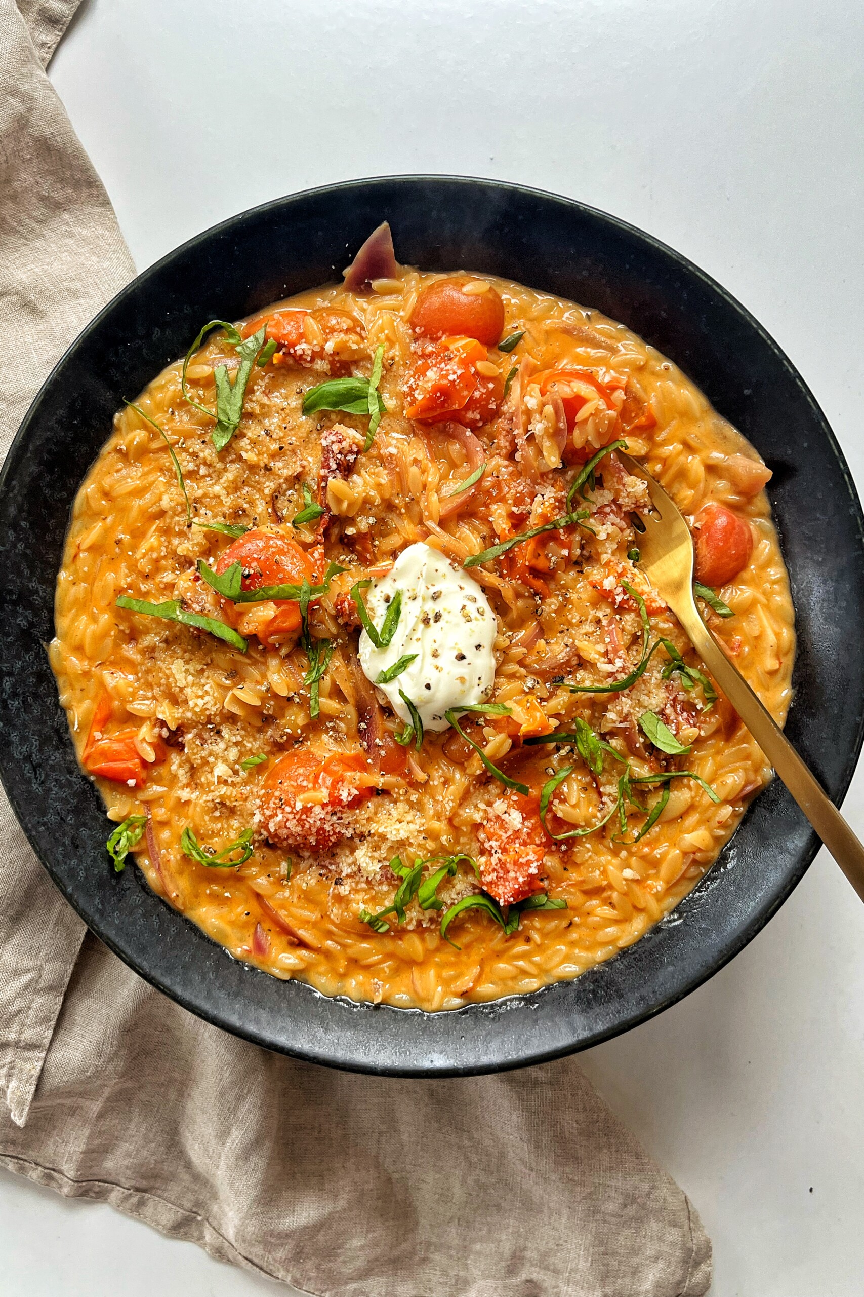 Tomato Orzo Pasta Recipe.