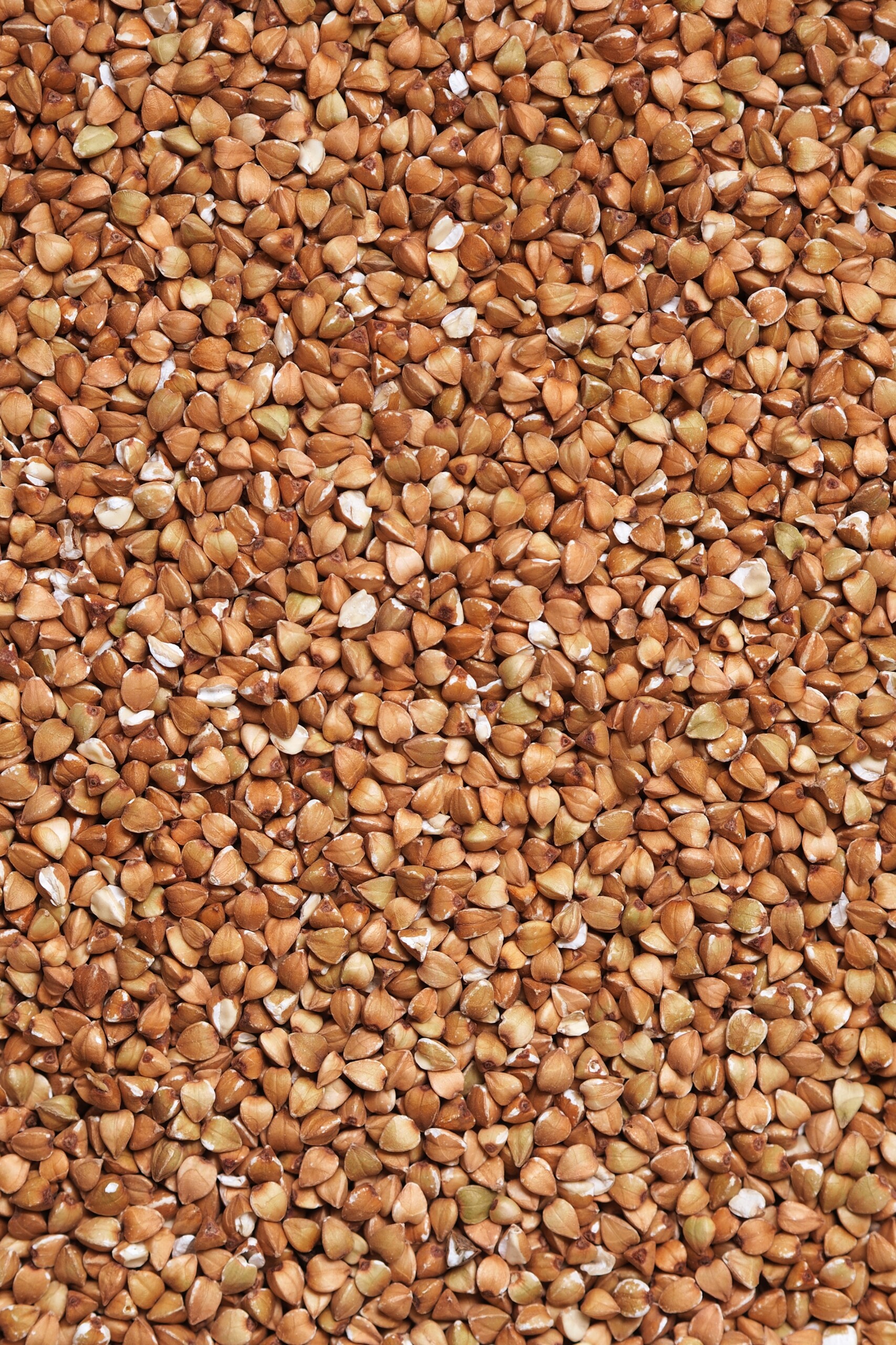 Buckwheat photo.