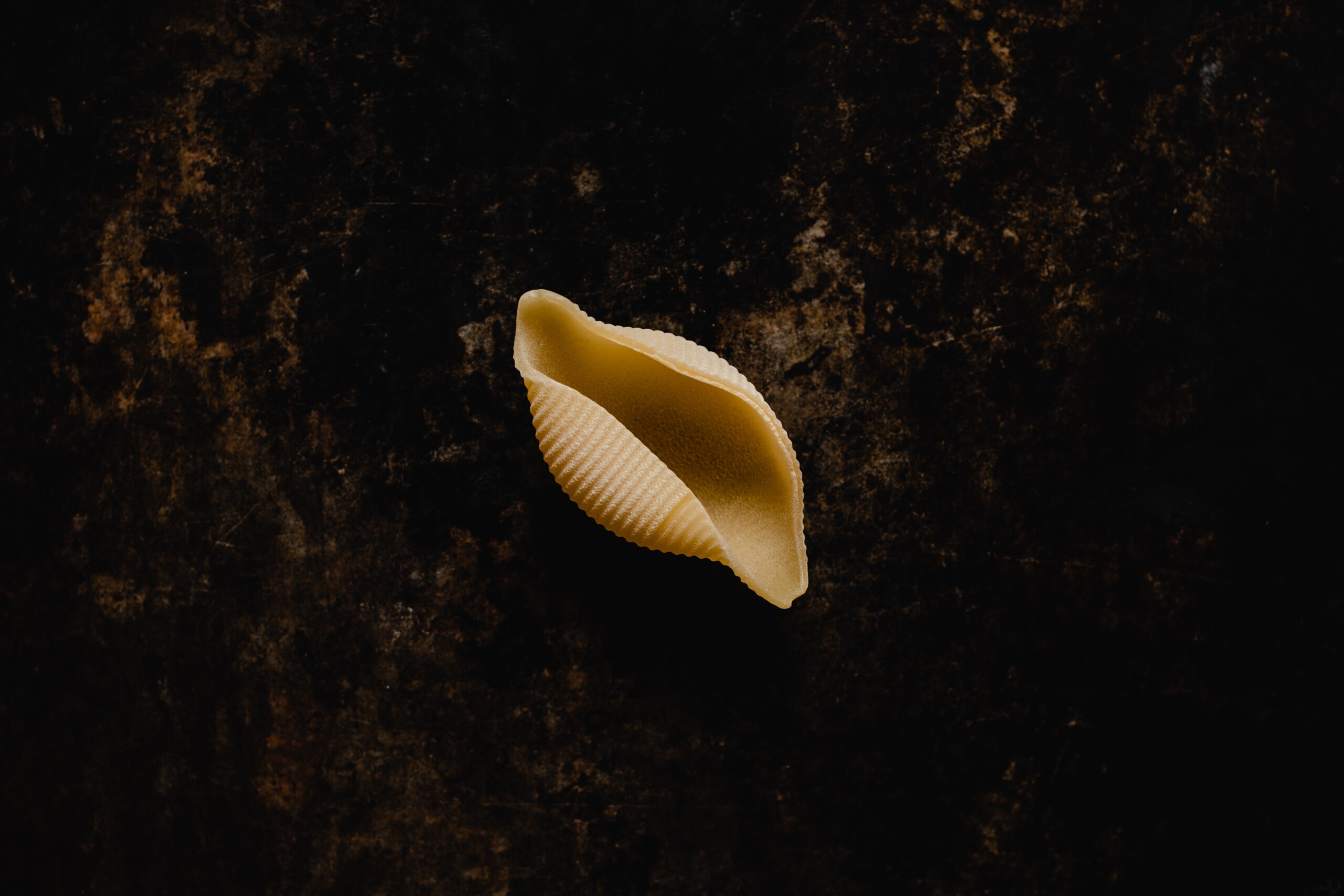 Conchiglie pasta.
