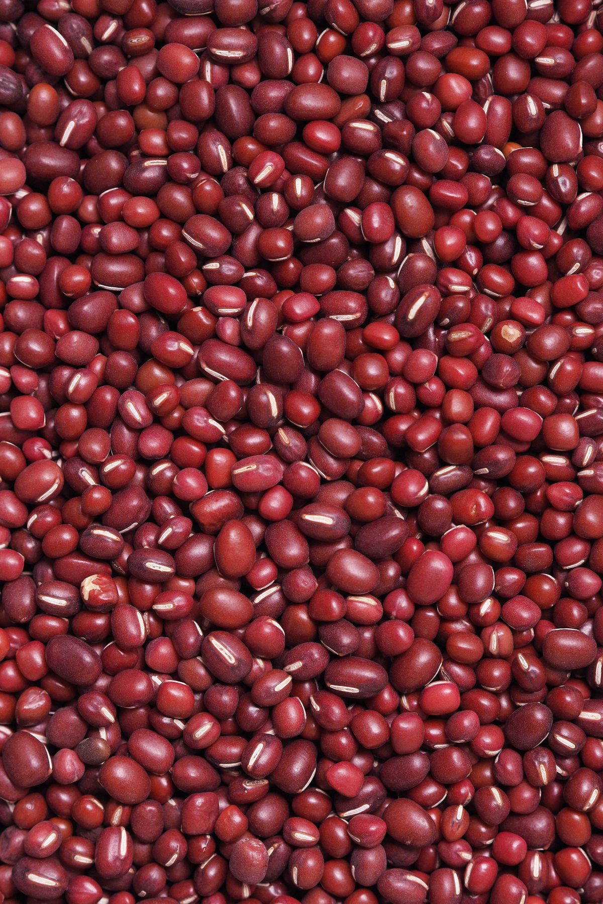Adzuki beans.
