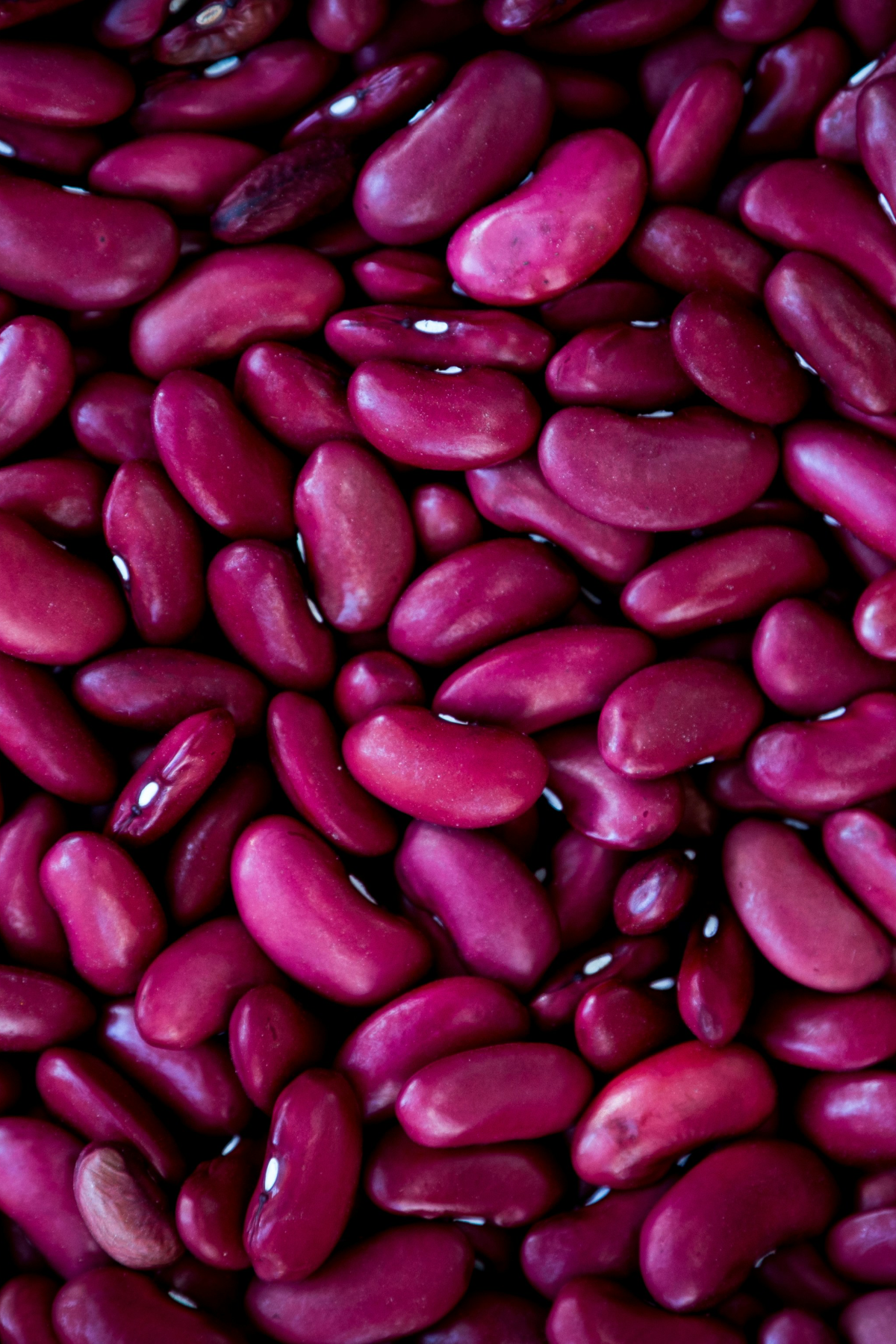 Red kidney bean close up.