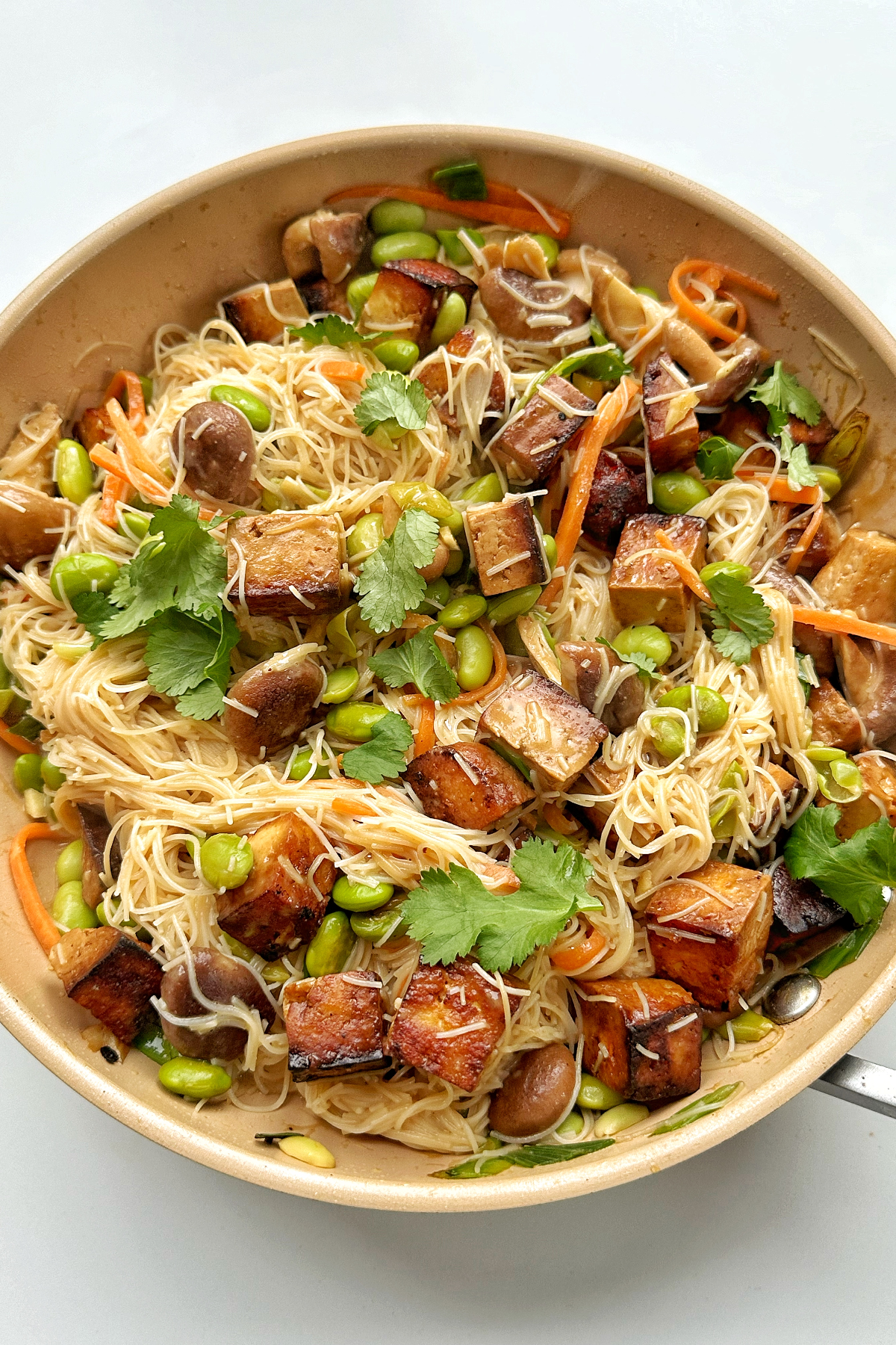 Pan of stir fried noodles vermicelli.