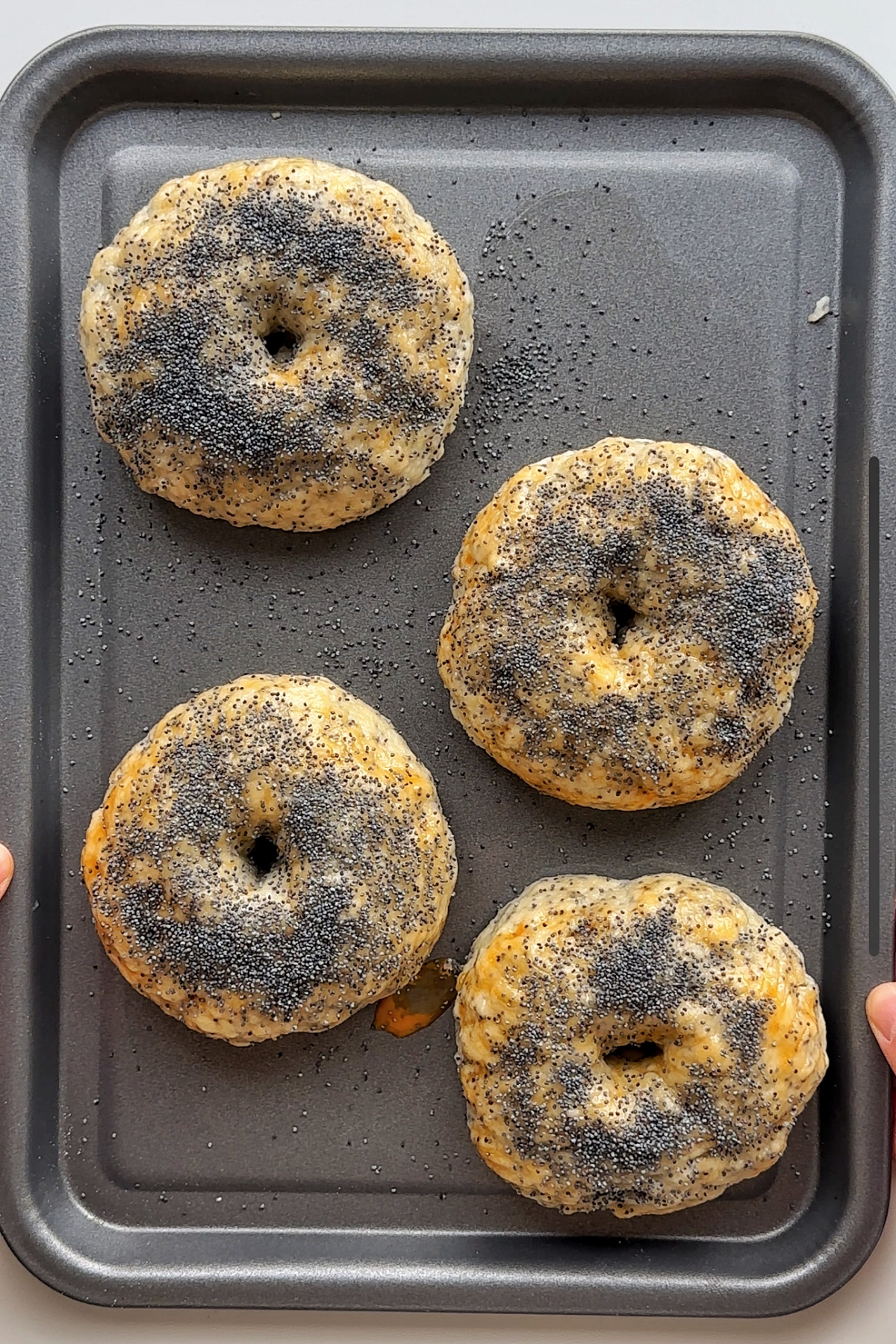 Sprinkled poppy seeds over boiled bagels on a metal baking tray.