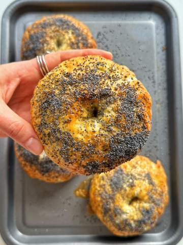 Hand holding up a poppy seed bagel.