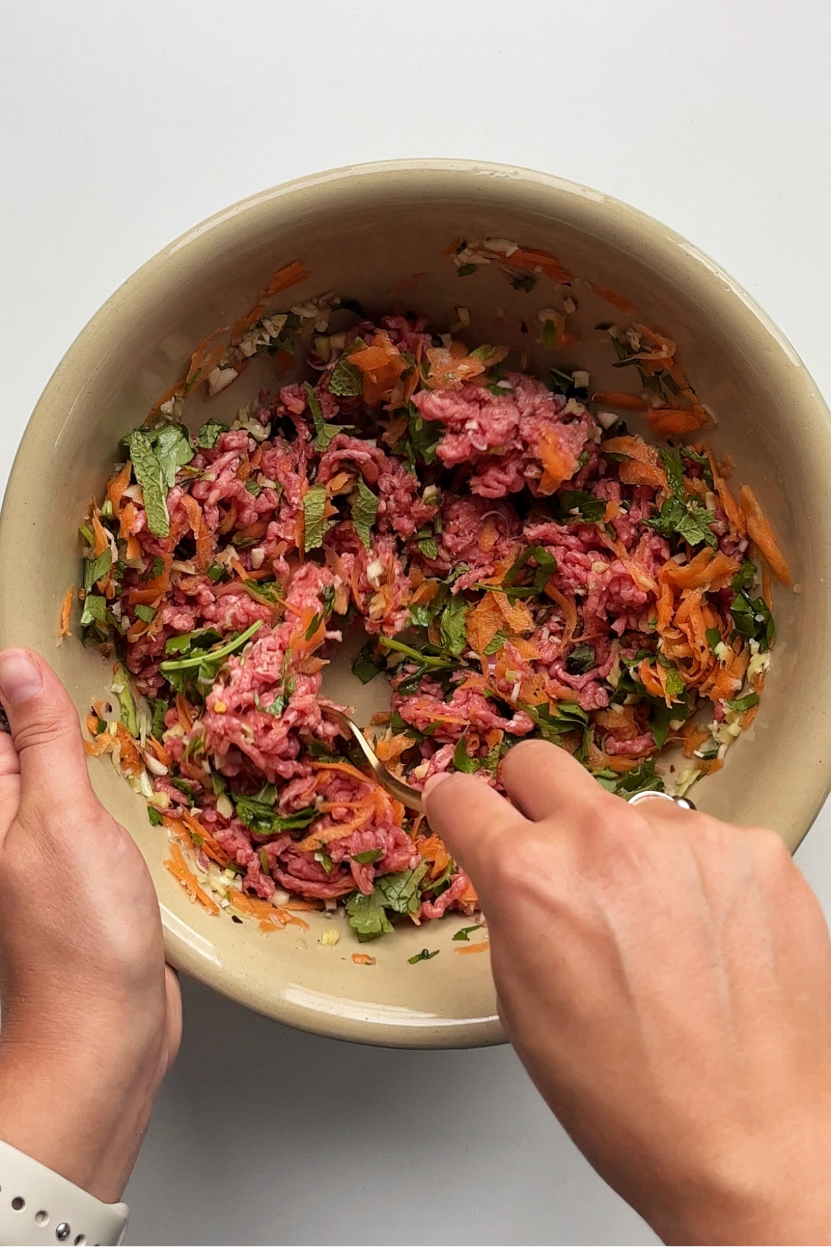 Beef mince filling in a large bowl.