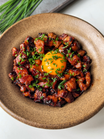 Close up of Butadon, a Japanese pork and rice dish.
