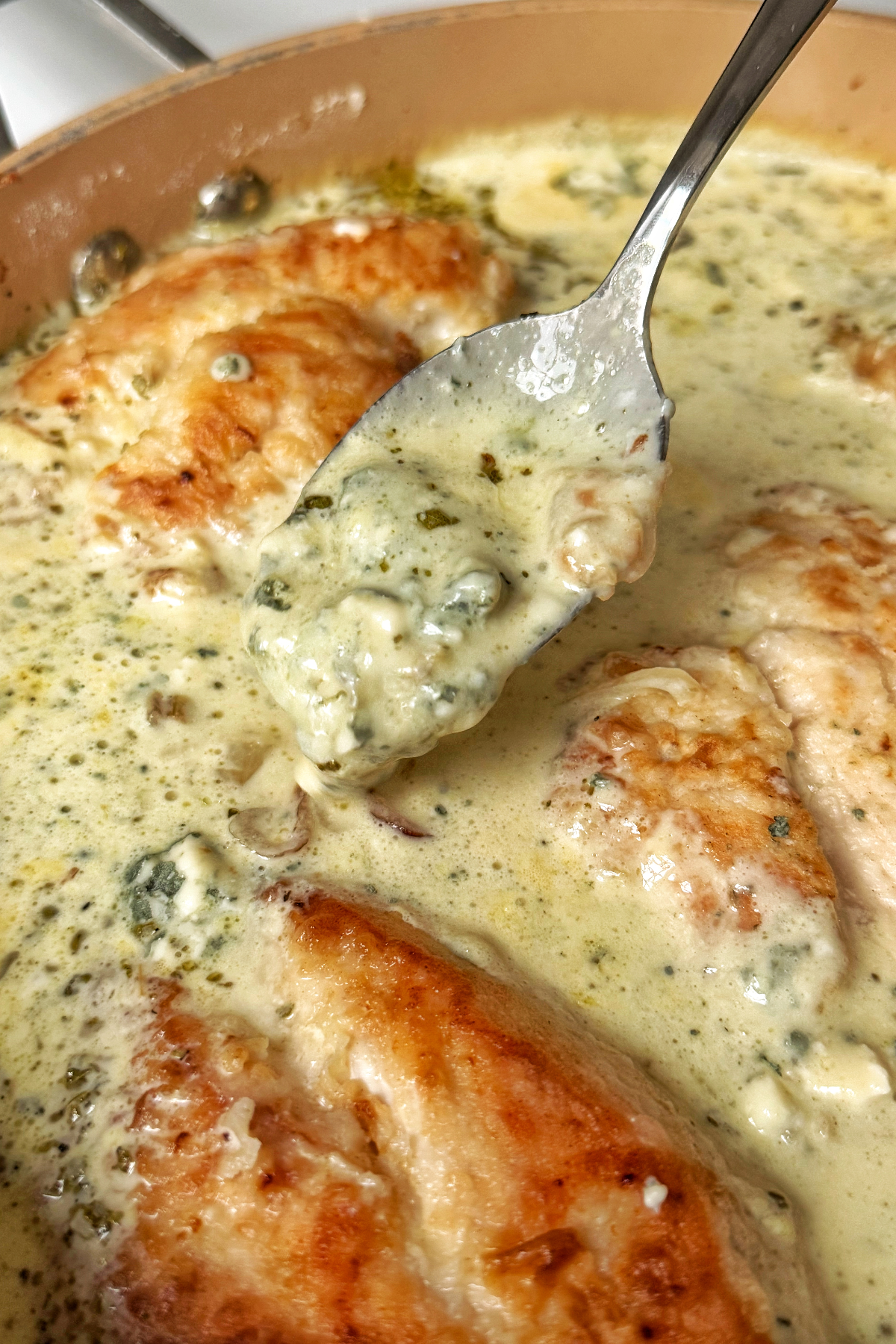 Spoonful of the chicken gorgonzola.
