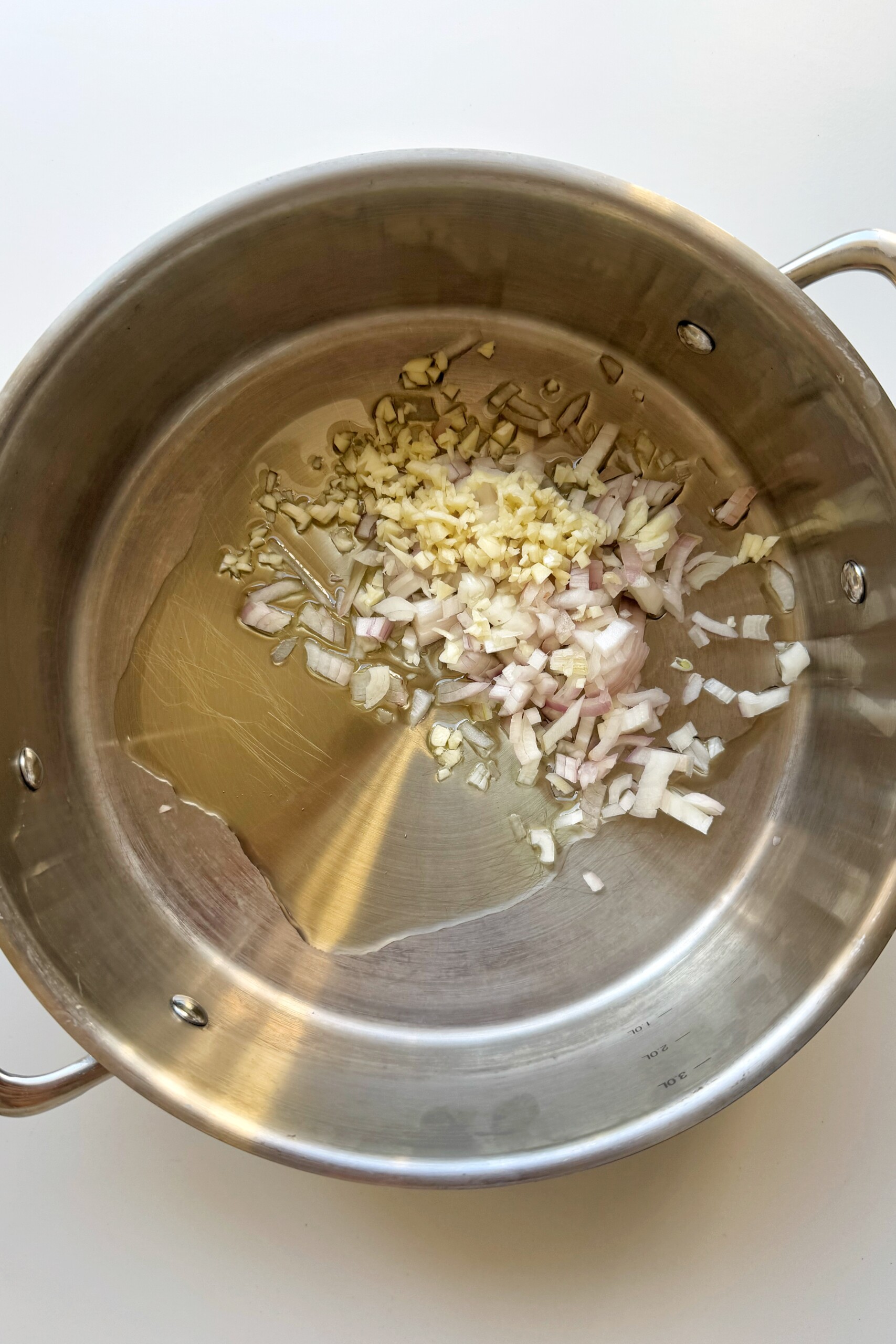 Pan frying garlic and onions.