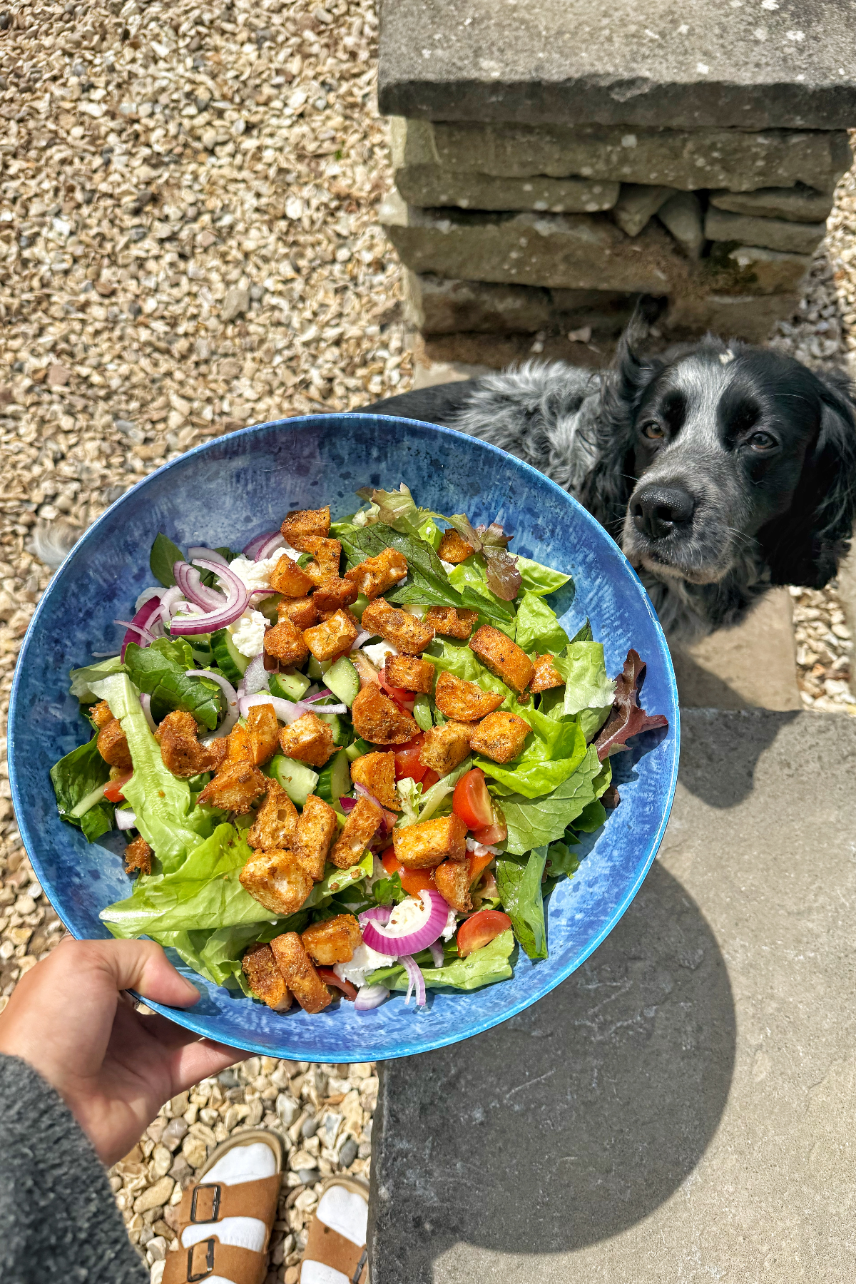 homemade ciabatta croutons served in salad
