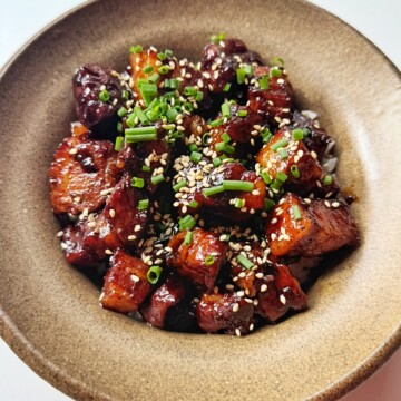Bowl of braised pork belly