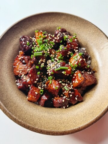 Bowl of braised pork belly