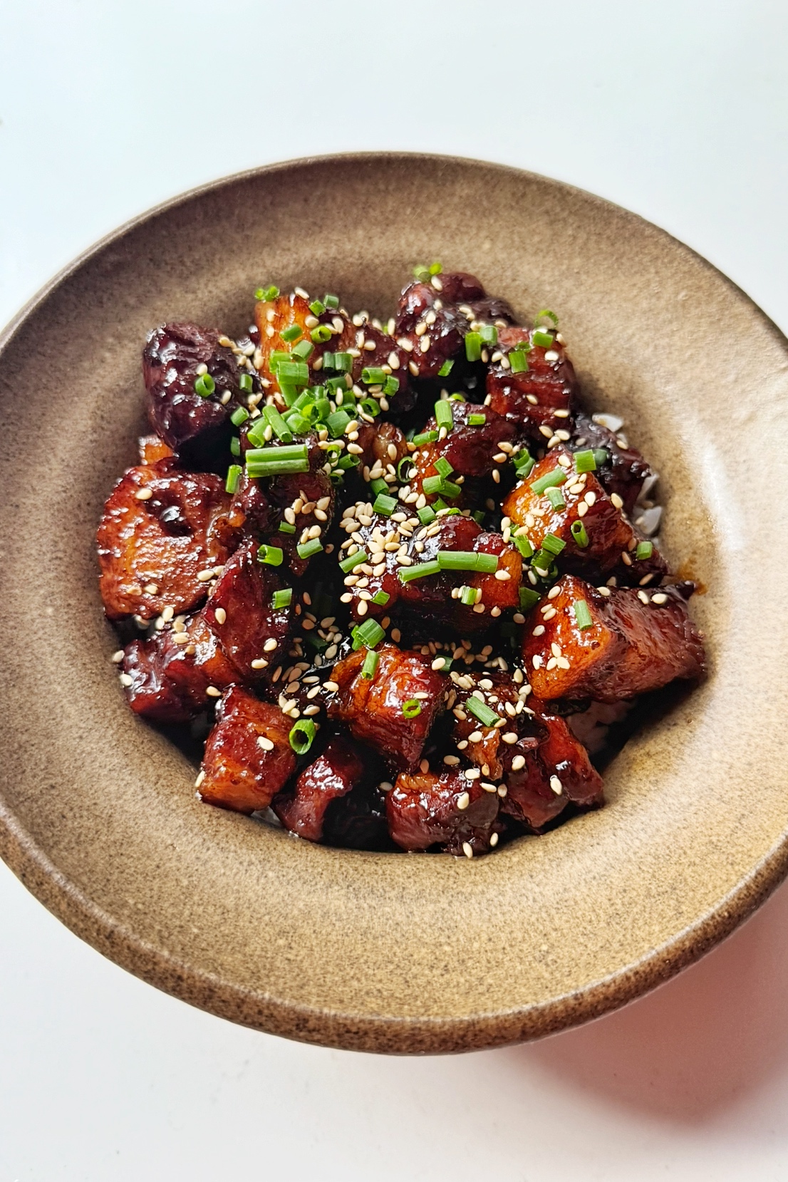 Bowl of braised pork belly